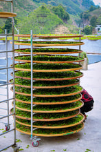 Load image into Gallery viewer, Phoenix Dancong rare variety "Shi Li Xiang  Dancong"/十里香