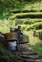 Load image into Gallery viewer, New Product Launch | Handmade by Intangible Cultural Heritage Inheritor Wang Guoxing, 2025 Matouyan Rougui "Horse Meat" Makes a Grand Debut 马头岩肉桂