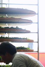 Load image into Gallery viewer, 2023 Song Zhong from the 200-year-old DaAn Ancient Tea Garden.