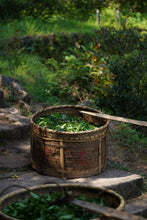 Load image into Gallery viewer, New Product Launch | Handmade by Intangible Cultural Heritage Inheritor Wang Guoxing, 2025 Matouyan Rougui "Horse Meat" Makes a Grand Debut 马头岩肉桂