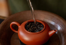 Load image into Gallery viewer, Guang Dong Oolong tea“Phoenix Dancong, grapefruit fragrance”柚花香