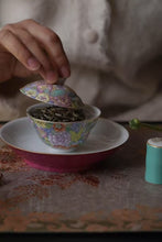 Load image into Gallery viewer, A Decade of Aroma: The Charm of Time on the Tips of Baihao Yinzhen - 2015 Fuding Panxi Alpine Baihao Yinzhen