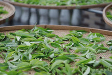 Load image into Gallery viewer, 2024 WuDong Da'an LaoCong Mi Lan Xiang /大庵老枞蜜兰香.