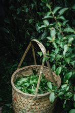 Load image into Gallery viewer, Tongxinshe Teahouse Premium Selection He Gangyan Tea Factory · Matou Rock Beidou:The Rare Delicacy of Authentic Wuyi Famous Bush Tea