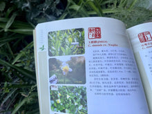 Load image into Gallery viewer, Tongxin She Teahouse Collection Qi Yun Peak Zhengyan Yu Qilin — Rare Heirloom Yancha 玉麒麟