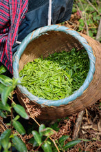 Load image into Gallery viewer, Tongxin Tea House March Trip to Yixing | Tasting the First-Pick Yangxian Xueya,The Spring Freshness Hidden in the Capital of Zisha