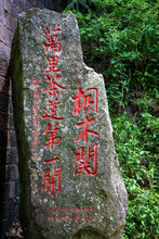 Load image into Gallery viewer, 2024 Tong Mu Guan Lao Cong Hong Cha.