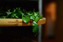 Load image into Gallery viewer, 2024 The Yanyun Qilan: The Tea Aroma and Elegance Condensed by Time