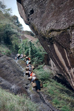 Load image into Gallery viewer, Plum Spirit Meets Cliff Charm: A Tasting Note of Tongxin She's 2025 Ancient Old Bush Xiangtianmei Oolong
北斗峰老枞向天梅