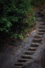 Load image into Gallery viewer, Zhengyan Jin Mu Dan: The Floral Pinnacle of Wuyi Rock Tea。弥陀岩金牡丹