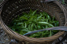 Load image into Gallery viewer, 特级乌岽鸭屎香/Special Wu Dong Duck Shit Fragrance Dan Cong