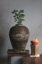 Load image into Gallery viewer, The Charm of Aged Liu Bao Tea: The 1992 Vintage