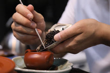 Load image into Gallery viewer, Guangdong Fenghuang Dancong ancient trees "Dai Zhao Tea"