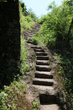 Load image into Gallery viewer, 2024 In Search of Jinjiaoyi Shuixian: A Treasure of Wuyi Rock Tea in Tongxin She Teahouse