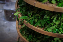 Load image into Gallery viewer, 2024 The Yanyun Qilan: The Tea Aroma and Elegance Condensed by Time