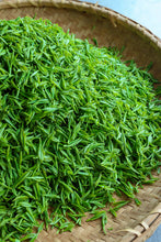 Load image into Gallery viewer, Tongxin She Teahouse: In Search of the Lost Supreme Biluochun