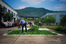 Load image into Gallery viewer, Floral Dahongpao/花香大红袍