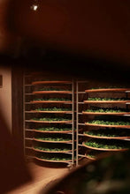 Load image into Gallery viewer, Rock Bone and Hidden Fragrance, Auspiciousness at Year-End | Tongxinshe Teahouse's 2025 Finale: Limited-Edition Kengjian Cassia Tea "Wanshi Ruyi" (All Wishes Come True), A Masterpiece by Intangible Cultural Heritage Inheritor 万狮如意。