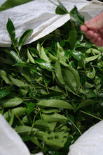 Load image into Gallery viewer, Hui Yuan Keng Shui Xian 2023/Choose the core production area of Zheng Yan, the water contains floral fragrance, and the rock rhyme is full