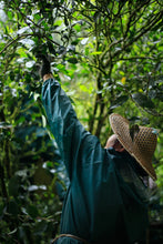 Load image into Gallery viewer, Chunshe Tea House's 2025 Spring Snake Blessing New Year Tea Gift