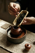 Load image into Gallery viewer, Tongxin She Teahouse | 2026 Da’an Old‑Bamboo Cong: Serenity of Bamboo, Return to Mountain Spirit大庵老丛竹叶
