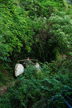 Load image into Gallery viewer, 2024 Wuyi Rock Tea Matouyan Rougui handmade by Mr. Wang Guoxing