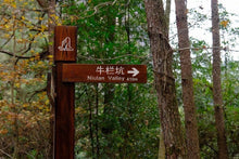 Load image into Gallery viewer, 2023 Niu Lan Keng Rou Gui/牛栏坑肉桂。