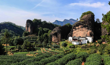 Load image into Gallery viewer, 2024 Wuyi Rock Tea Matouyan Rougui handmade by Mr. Wang Guoxing