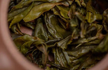 Load image into Gallery viewer, "2024 Bangdong·Barren Mountain Ancient Tree Pu'er Sheng Tea"邦东·荒山古树普洱生茶.