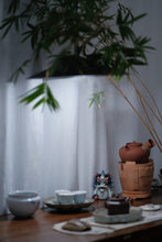 Load image into Gallery viewer, 1975 Yiwu wild tree old raw Pu'er