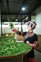 Load image into Gallery viewer, 2015 Xi Gui Ancient Trees Puer Tea