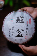 Load image into Gallery viewer, 2016 Single - Tree Ancient Tree Raw Pu'er Tea from Banpen: The Charm of Tea Aroma Precipitated by Time
