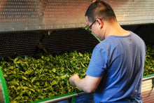 Load image into Gallery viewer, Floral Dahongpao/花香大红袍