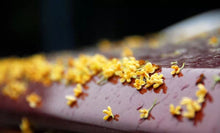 Load image into Gallery viewer, Osmanthus fragrans Jiu Qu Hong Mei