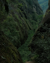 Load image into Gallery viewer, "China Tea Cup" The 13th International Dingcheng Tea King Competition Limited Edition "Tea King Shui Xian/Gold Medal Dahongpao"