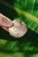 Load image into Gallery viewer, New at Tongxin She Tea House|2016 Fuding Button White Tea Loquat Whisper · White Peony: Portable Honey Aroma, Elegance On the Go