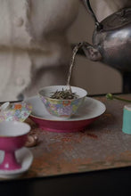 Load image into Gallery viewer, A Decade of Aroma: The Charm of Time on the Tips of Baihao Yinzhen - 2015 Fuding Panxi Alpine Baihao Yinzhen