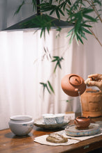 Load image into Gallery viewer, Phoenix Dancong Ancient Tree WuDong "Yan Shang Zhen/Rock Treasure/岩上珍"