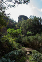 Load image into Gallery viewer, Hui Yuan Keng Shui Xian 2023/Choose the core production area of Zheng Yan, the water contains floral fragrance, and the rock rhyme is full