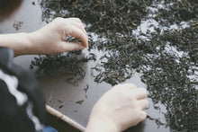 Load image into Gallery viewer, 2023 Song Zhong from the 200-year-old DaAn Ancient Tea Garden.