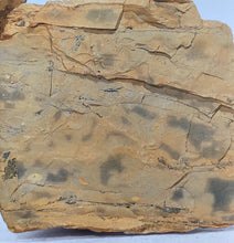 Load image into Gallery viewer, Exquisite Recommendation of Tongxin She Teahouse —— Begonia Red Qin Quan Teapot