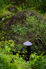 Load image into Gallery viewer, 2025 Jiulongke Rougui – A Cup Welcomes Spring 一盏逢春“九龙窠肉桂”
