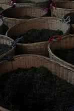 Load image into Gallery viewer, Smoke Penetrates the Leaf, Longan Sweetness Lingers Tongxin She’s 2023 Tongmuguan Smoked Lapsang Souchong Four Years of Aging, Returning to the Origin of Black Tea烟熏小种/YAn XUN XIAO ZHONG
