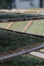 Load image into Gallery viewer, New Arrival | 2025 Taimu Mountain Baihao Yinzhen, the Noble of White Tea, Makes a Stunning Debut