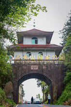 Load image into Gallery viewer, 2024 Tong Mu Guan Lao Cong Hong Cha.