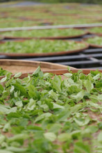 Load image into Gallery viewer, "Tongxin She Teahouse's Caolan Zhilanwang Dancong Tea"