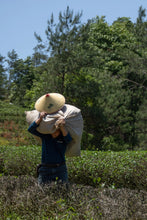 Load image into Gallery viewer, Wuyi rock tea Zheng Yan Rou Gui "Shan Jian Liu Xiang"正岩肉桂山涧留香。