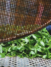 Load image into Gallery viewer, Guang Dong Oolong tea“Phoenix Dancong, grapefruit fragrance”柚花香