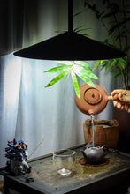 Load image into Gallery viewer, Tongxin She Teahouse | 2023 Huiyuan Pit Cinnamon, Aged Fragrance, Limited Edition