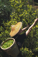 Load image into Gallery viewer, Tongxin She Teahouse 2025 Limited Launch | Handmade Bai Jiguan by Gao Peng and His Mother, A Cup Holds the Elegance of Wuyi白鸡冠。